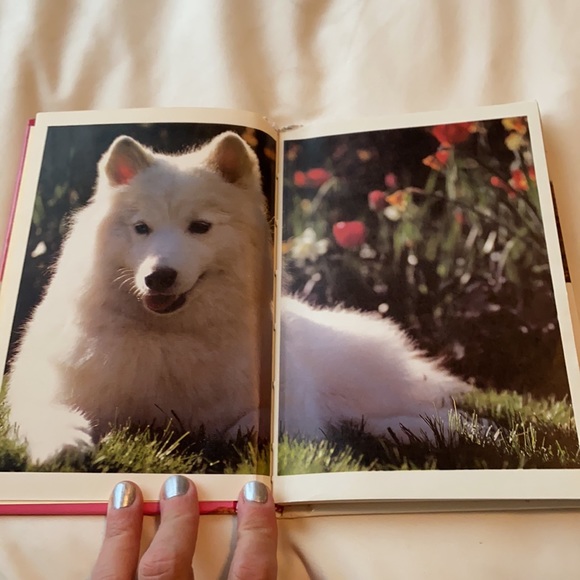 🛍 SAMOYEDS Vintage 1990 Pet Dog Puppy Care Book by Joyce Reynaud • Samoyed - Picture 6 of 11